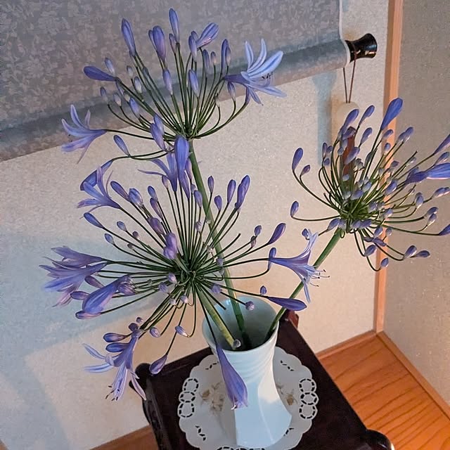 machikomamaさんの部屋