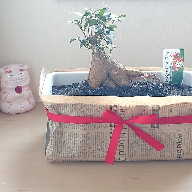 atu.さんの実例写真