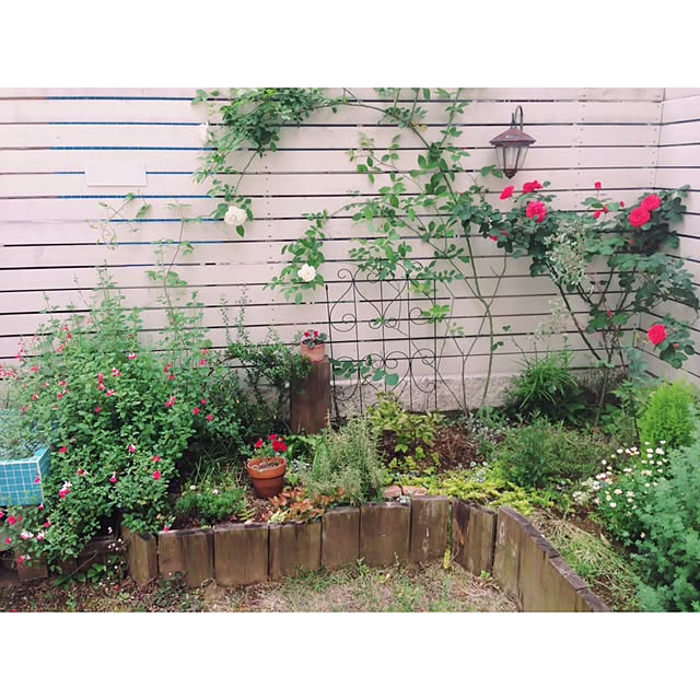saooo39さんの実例写真