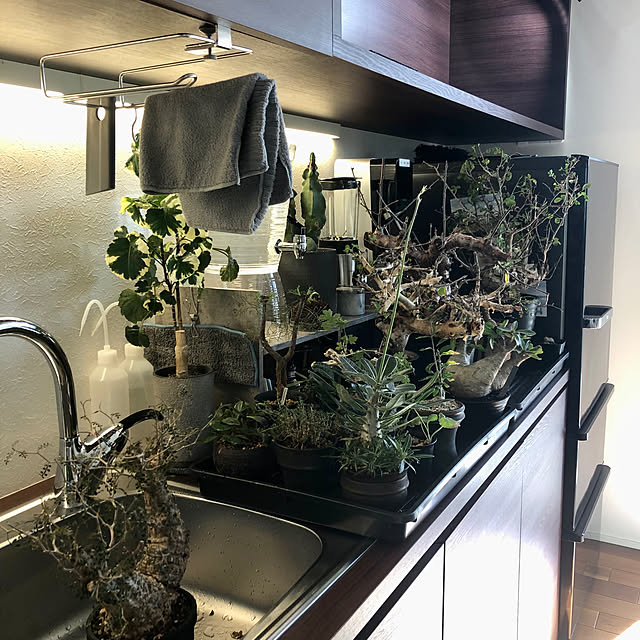 nuruiさんの部屋