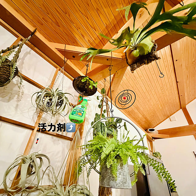 onsix777さんの部屋