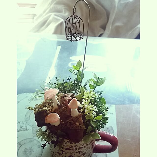 portulacaさんの実例写真