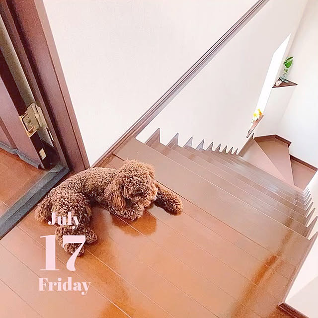 Mayさんの実例写真