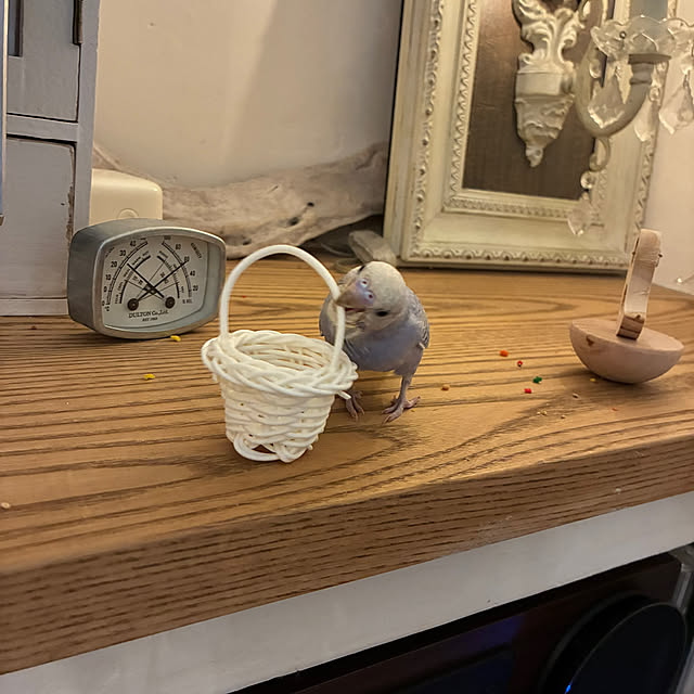 sakuraさんの部屋