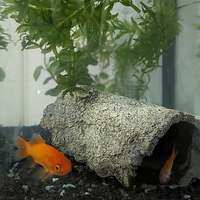 reeさんの実例写真
