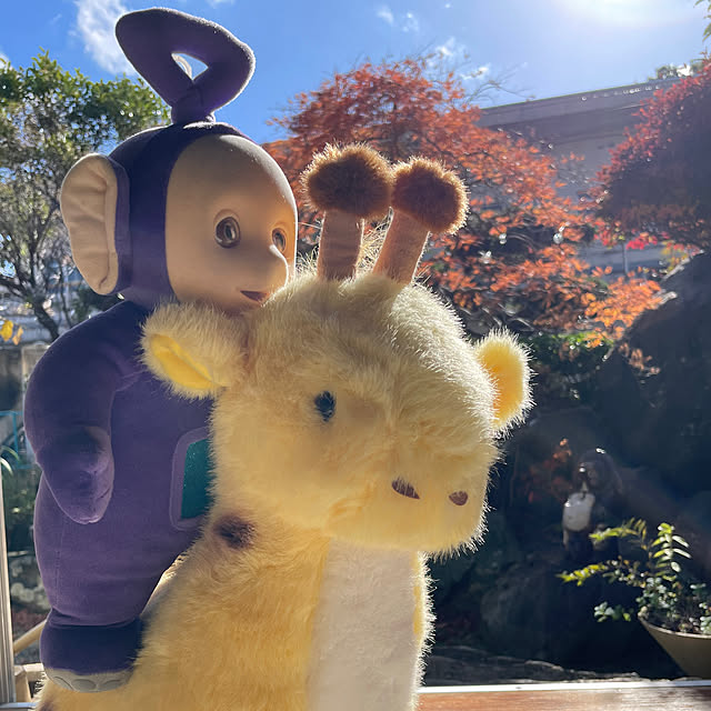 shin0719さんの部屋