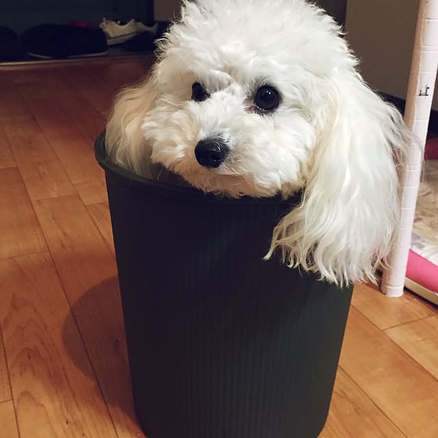 sei.hugさんの実例写真