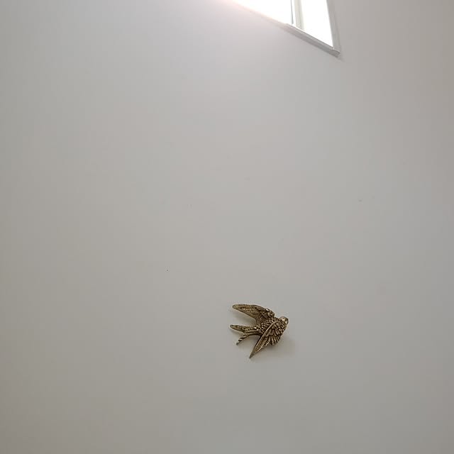 chidorinさんの実例写真