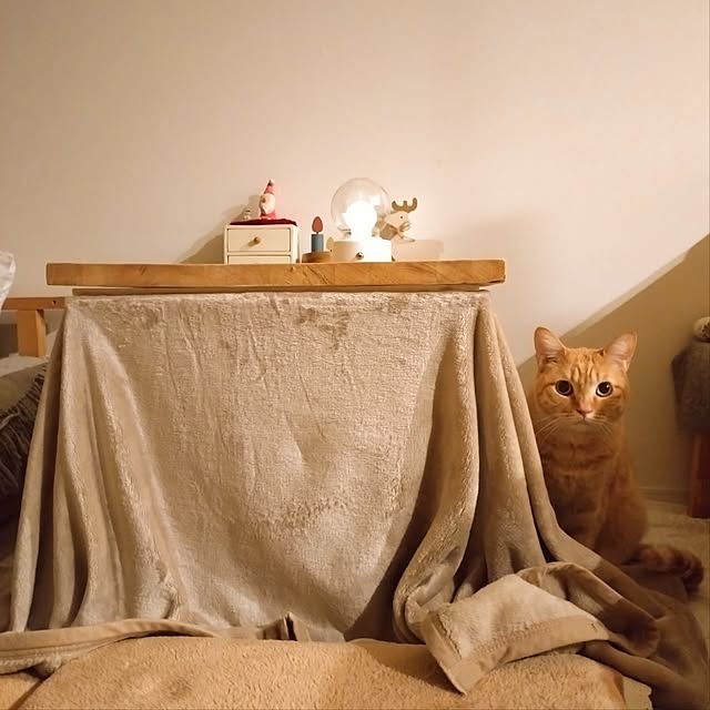 mayutan.さんの部屋