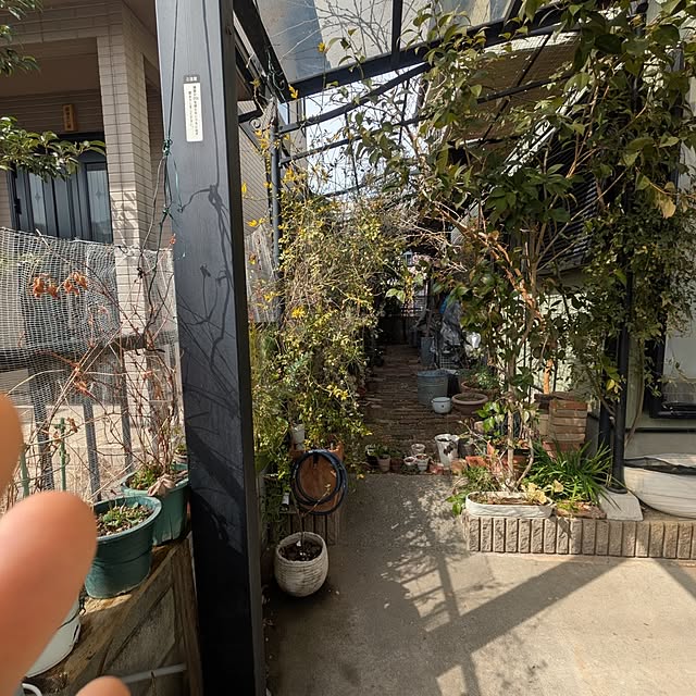 mori_6_12さんの実例写真