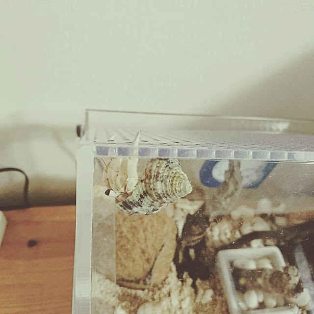 Atsukoさんの実例写真