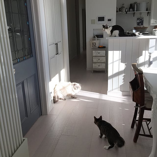 yuchiさんの実例写真
