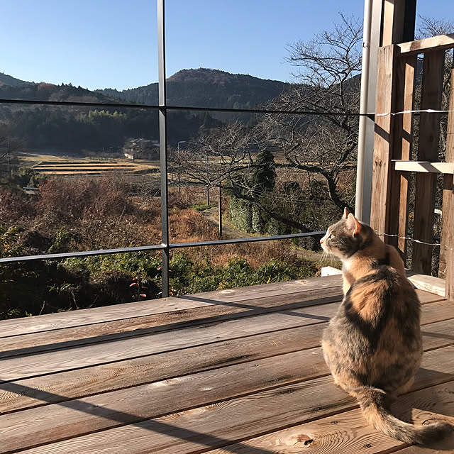 sakurasakuさんの実例写真