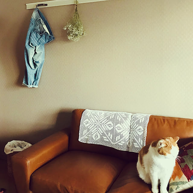 mayuroさんの実例写真