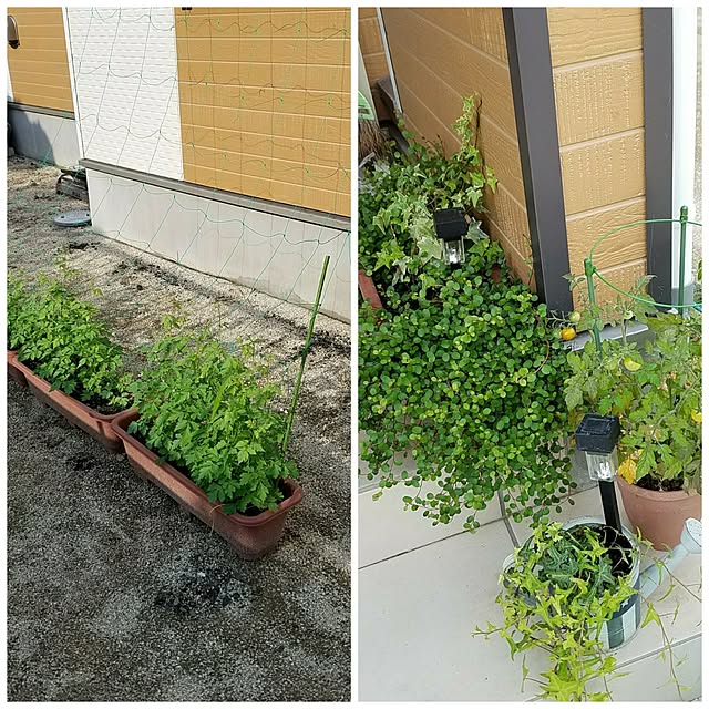 k-ai323さんの実例写真