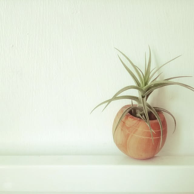 Graceさんの実例写真