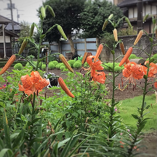 houenさんの部屋