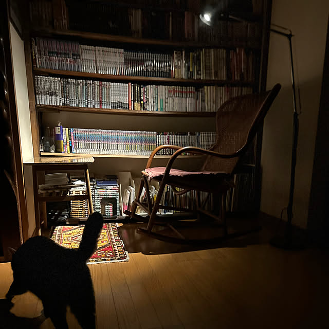 mikan161さんの実例写真