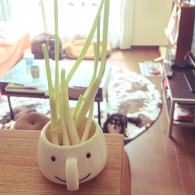 churaさんの実例写真