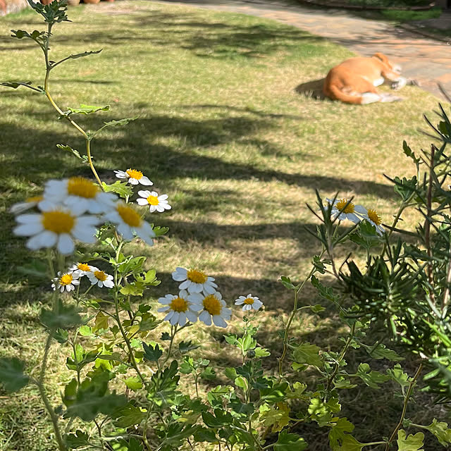 kuuさんの実例写真