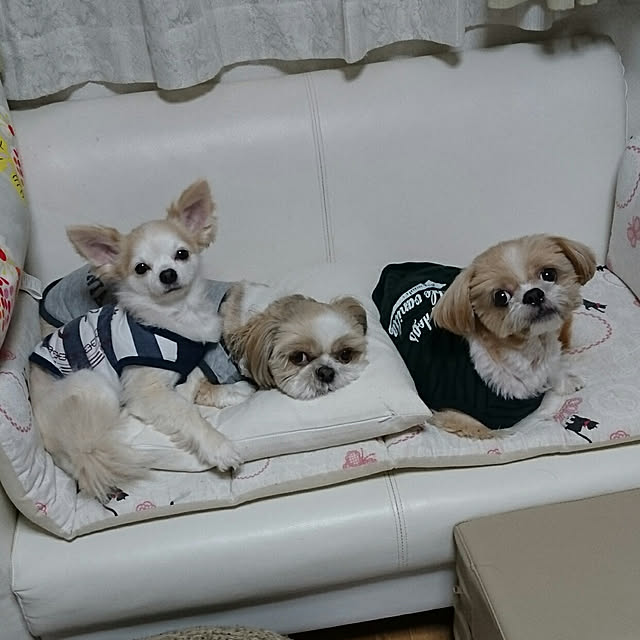 ronさんの実例写真