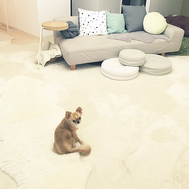 haruhinaさんの実例写真