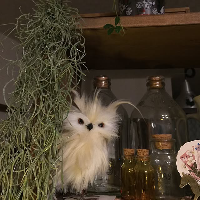 Kyokoさんの実例写真