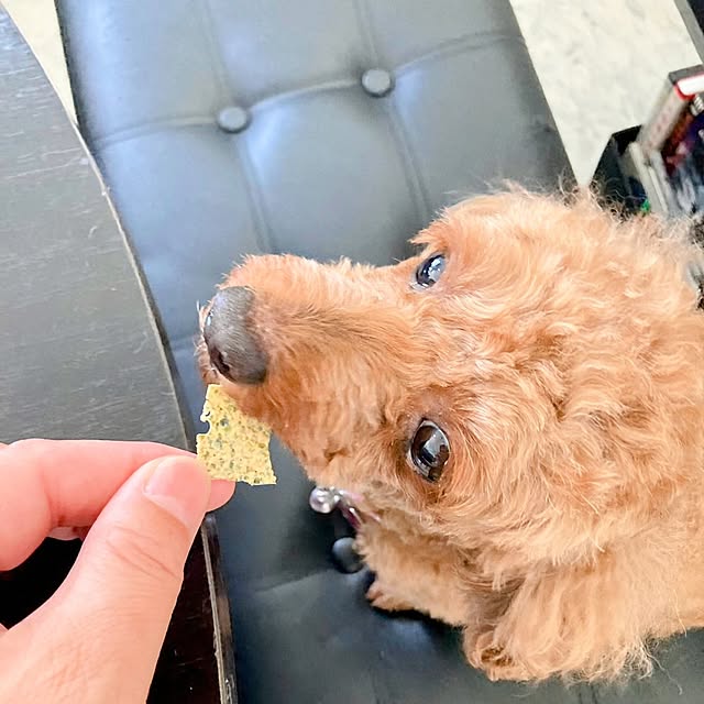 MOMOMAMAさんの部屋