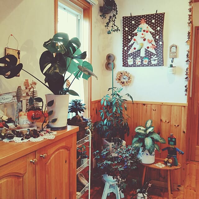 玄関/入り口/ハンドメイド/ガーデン雑貨/観葉植物/息子の手作りロボット...などのインテリア実例 - 2015-12-01 08:26:27