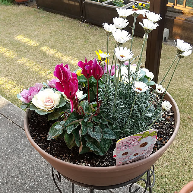 Renさんの実例写真