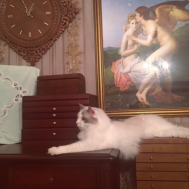 Moncheriさんの実例写真