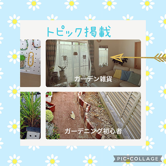 akiko-ovさんの実例写真
