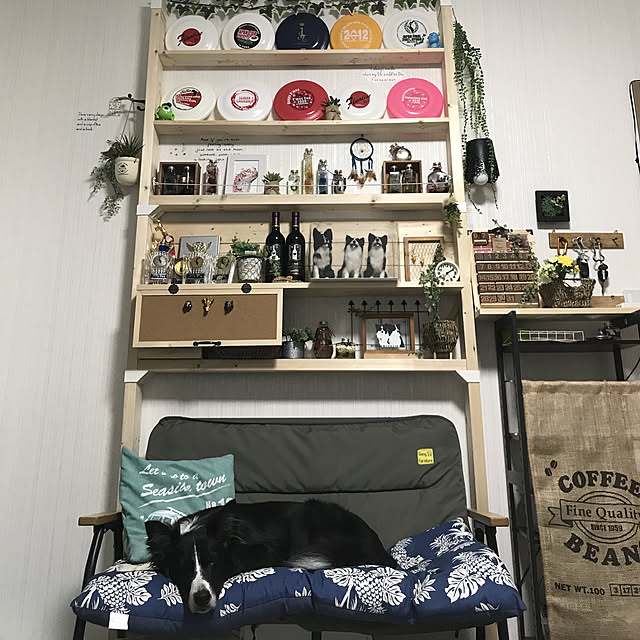 Caoluさんの実例写真