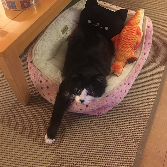 kanaさんの実例写真