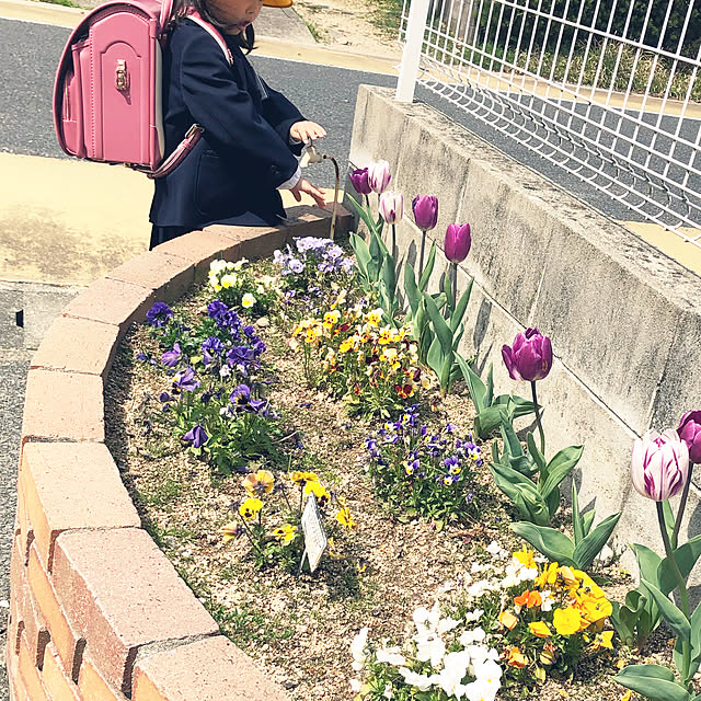 fuwalilyさんの実例写真