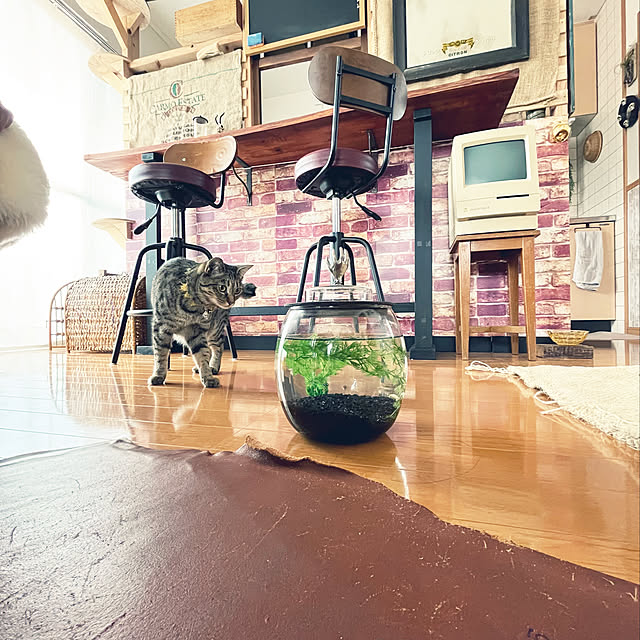 Mさんの実例写真