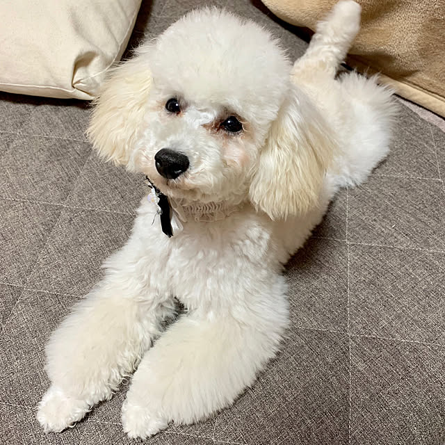 BUNさんの実例写真