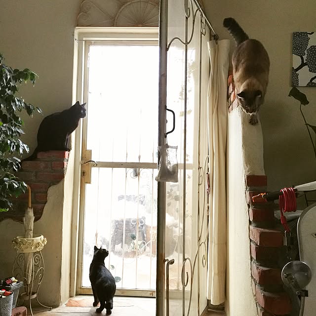 rosemaryさんの実例写真