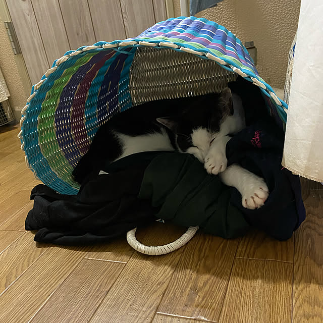 SHIHOさんの実例写真