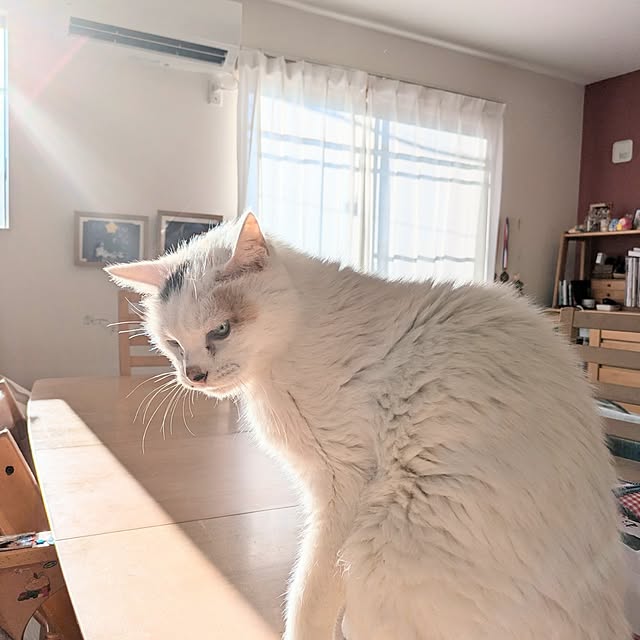MUKUTOU_namikoさんの実例写真