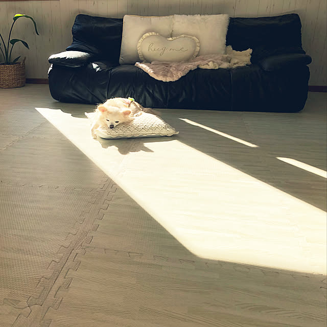 ayakaさんの実例写真