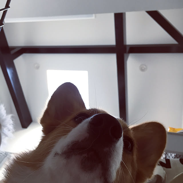 3ayuさんの実例写真