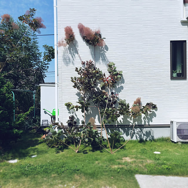 oa.mさんの実例写真