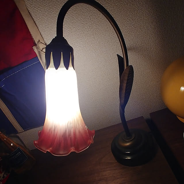 risaさんの実例写真