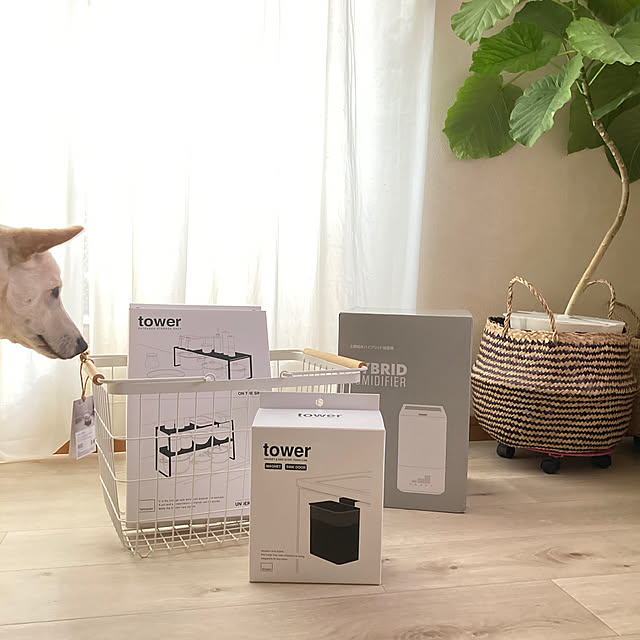 ruruの山崎実業-山崎実業 マグネット&シンク扉ゴミ箱 タワー towerの家具・インテリア写真