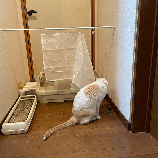 Sugarさんの実例写真