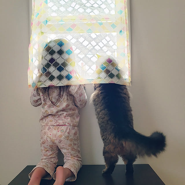 momo-maruさんの実例写真