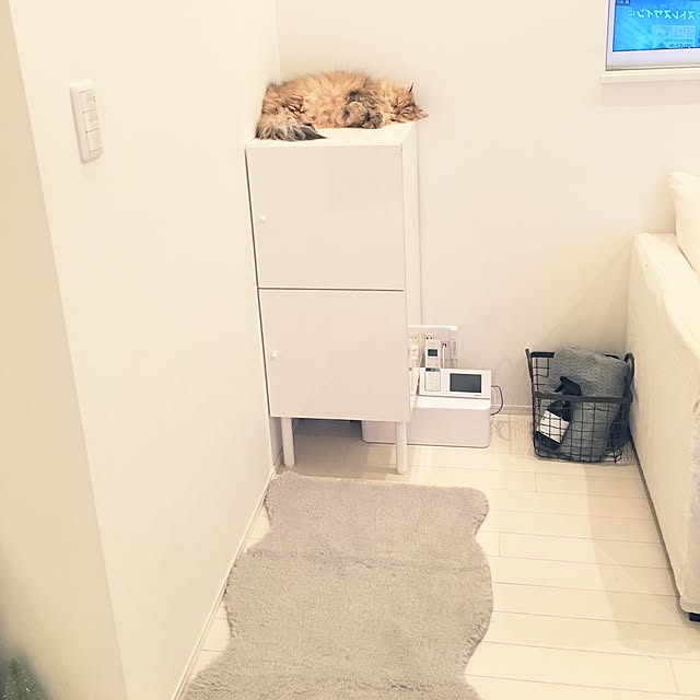 koumeさんの実例写真