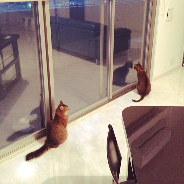 aco_64さんの実例写真