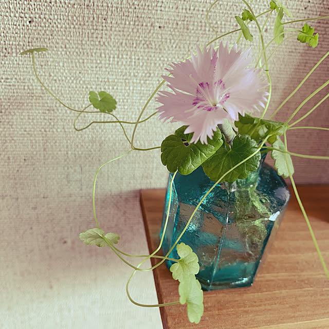 makotsuさんの実例写真
